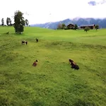 Near Passthurn Area Kitzbuehel Prázdninový dům *