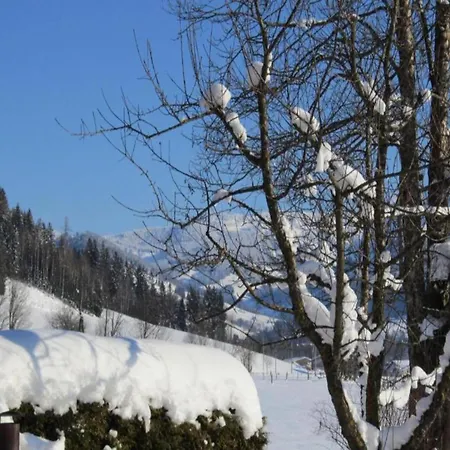 בית נופש Near Passthurn Area Kitzbuehel *