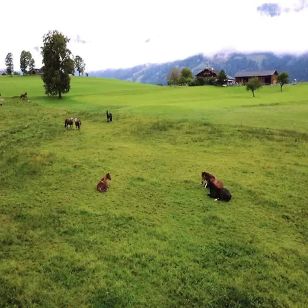 Near Passthurn Area Kitzbuehel בית נופש *