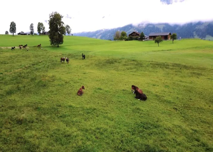 Near Passthurn Area Kitzbuehel Dom wakacyjny *